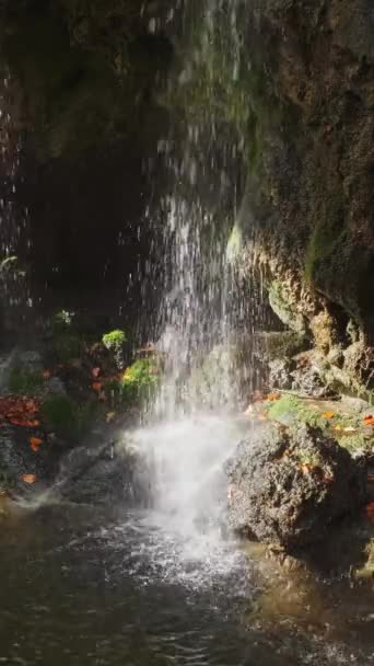 Vista Perto Uma Cachoeira Florestal Luz Solar Com Folhas Outono — Vídeo de Stock