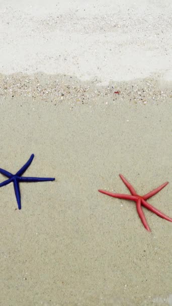 Duas Estrelas Mar Vermelhas Azuis Deitadas Numa Praia Areia Ondas — Vídeo de Stock