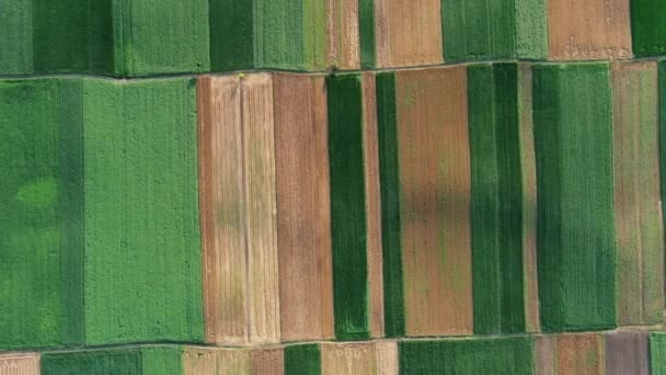 Bovenaanzicht Vanuit Lucht Van Veelkleurige Landbouwvelden Servië — Stockvideo
