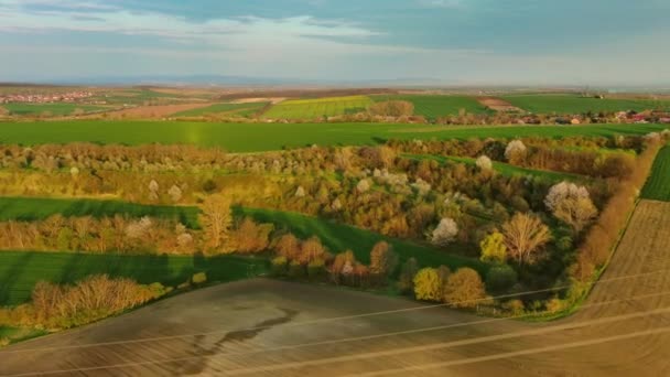 Luchtfoto Van Verbazingwekkende Groene Golvende Heuvels Met Landbouwvelden Het Voorjaar — Stockvideo