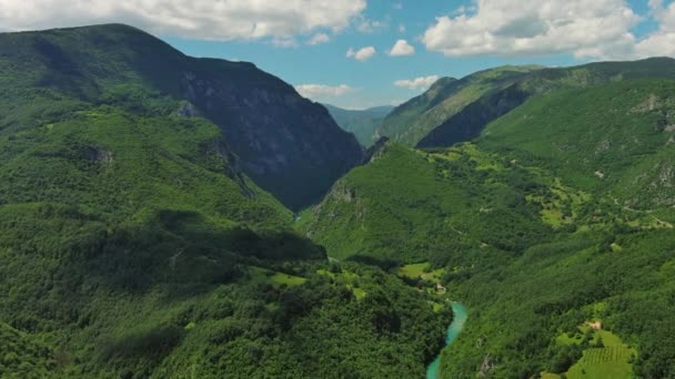 Aerial View Tara River Deep Canyon Forest Mountain Northern Montenegro — Stock Video