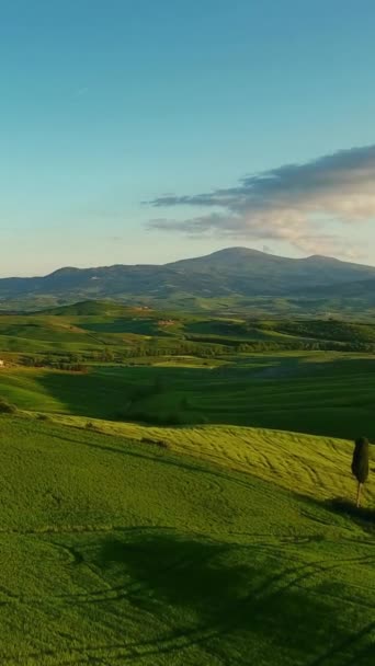 Paysage Aérien Toscan Collines Agricoles Soirée Italie Europe Vidéo Verticale — Video