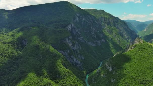 Letecký Pohled Hluboký Kaňon Řeky Tary Lesní Horu Severní Černé — Stock video