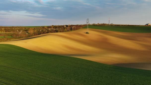 Вид Воздуха Удивительные Зеленые Волнистые Холмы Сельскохозяйственными Полями Вечернюю Весну — стоковое видео