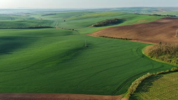 Baharda Tarımsal Tarlaları Olan Muhteşem Yeşil Dalgalı Tepelerin Havadan Görünüşü — Stok video