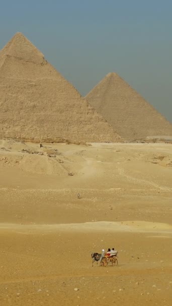 Grandes Pirámides Giza Cairo Egipto Vídeo Vertical — Vídeo de stock