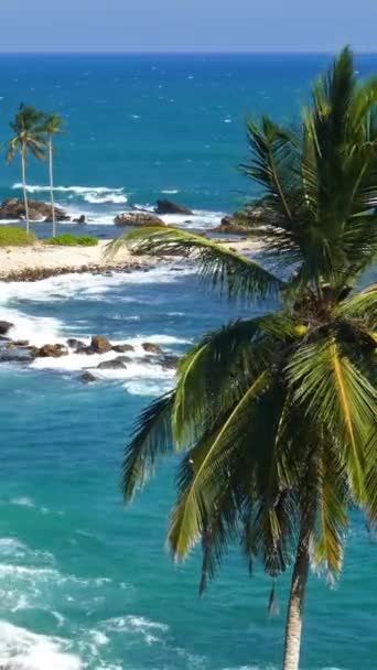 Hermoso Paisaje Con Olas Marinas Playa Tropical Cocoteros Vídeo Vertical — Vídeo de stock