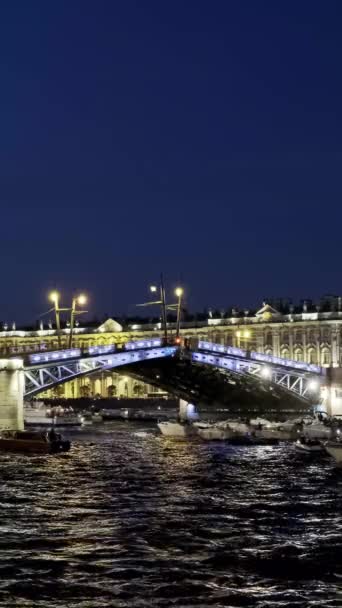 画中的宫殿桥和圣彼得堡的冬宫 夜间照明 俄罗斯 垂直录像 — 图库视频影像