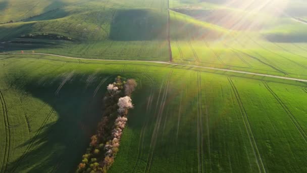 Luchtfoto Rondom Uitzicht Verbazingwekkende Groene Golvende Heuvels Met Landbouwvelden Het — Stockvideo