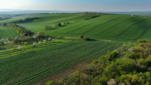 Luchtfoto Van Verbazingwekkende Groene Golvende Heuvels Met Landbouwvelden Tuinen Het — Stockvideo