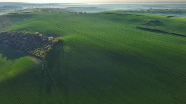 Вид Воздуха Удивительные Зеленые Волнистые Холмы Сельскохозяйственными Полями Весной Южная — стоковое видео
