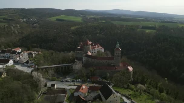 オーストリア ブルゲンランド 4Kのブルゴ シュレーニング城を眺めながらの空中 — ストック動画