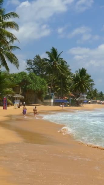 Fale Tropikalnej Plaży Hikkaduwa Sri Lanka Pionowe Wideo — Wideo stockowe