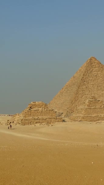 エジプトのギザ カイロの偉大なピラミッド バーティカルビデオ — ストック動画