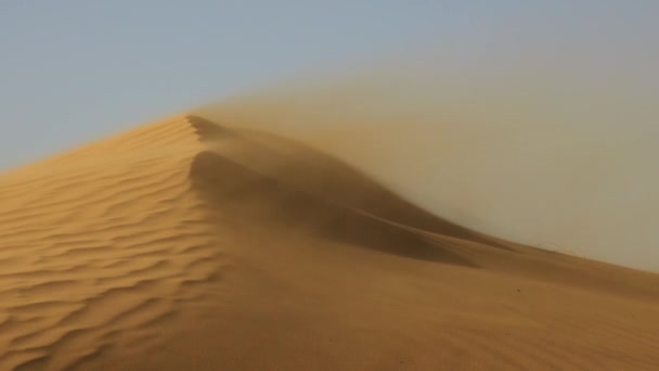 Sand Som Blåser Över Sanddynerna Vind Saharaöknen — Stockvideo