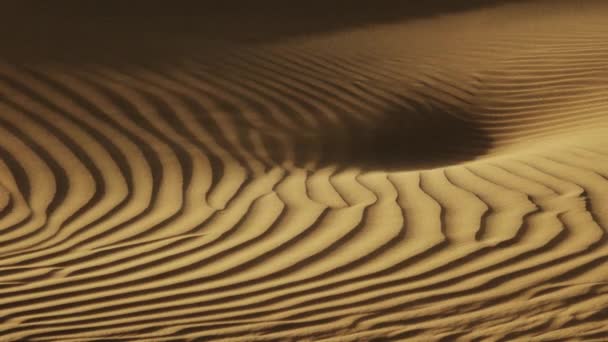 风沙吹过沙丘在风 撒哈拉大沙漠 — 图库视频影像