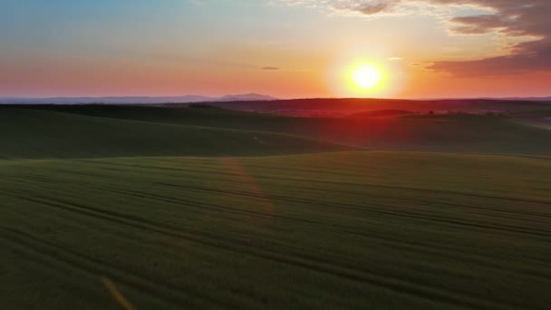Luchtfoto Van Verbazingwekkende Golvende Heuvels Met Landbouwvelden Bij Zonsondergang Zuid — Stockvideo