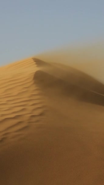 Písek Vanoucí Nad Písečnými Dunami Větru Saharská Poušť Svislé Video — Stock video