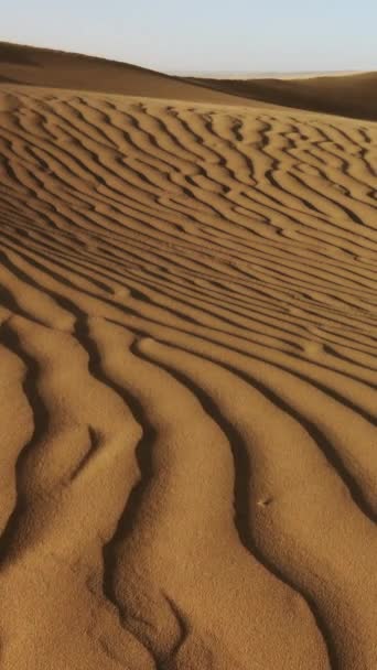 Песок Дует Песчаным Дюнам Ветру Пустыня Сахара Вертикальное Видео — стоковое видео