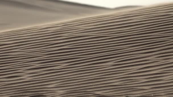 在大沙丘上迎风刮沙 撒哈拉沙漠 — 图库视频影像