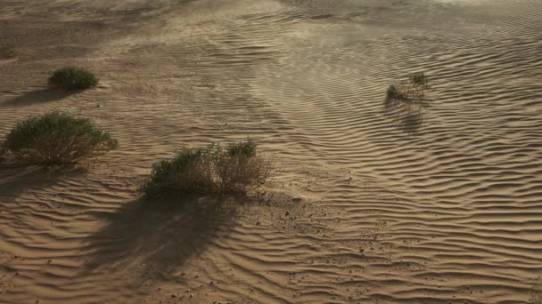 Sand Weht Wind Über Sanddünen Sahara Wüste — Stockvideo