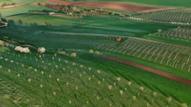 Letecký Pohled Úžasné Zelené Zvlněné Kopce Zemědělskými Poli Zahradami Jaře — Stock video