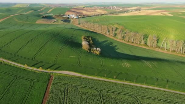 Vista Aérea Alrededor Increíbles Colinas Verdes Onduladas Con Campos Agrícolas — Vídeo de stock