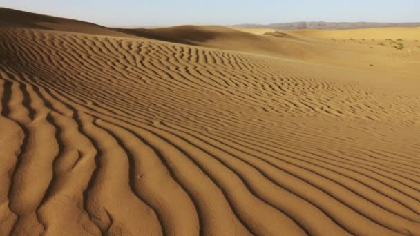 Kum Fırtınası Rüzgarda Büyük Kum Tepelerinin Üzerinden Geçiyor Sahra Çölü — Stok video