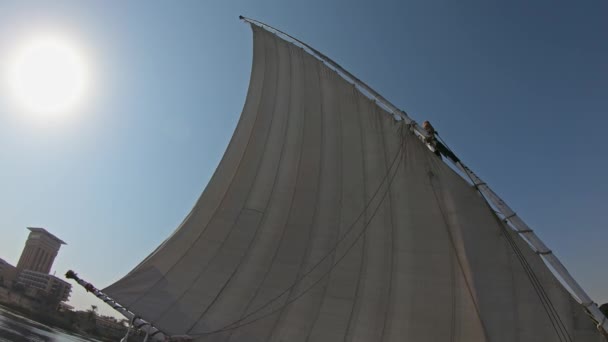 Вид Египетской Лодки Фелукка Плывущей Вдоль Реки Нил Асуане — стоковое видео