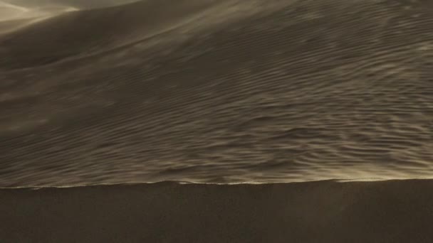 Άμμο Που Είναι Φυσάει Πάνω Από Αμμόλοφους Αιολική Έρημος Σαχάρα — Αρχείο Βίντεο