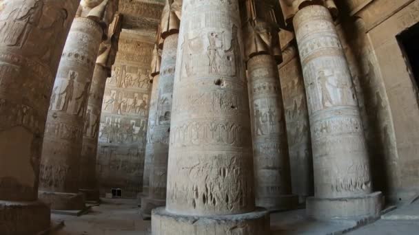 Interior Salão Hipostilo Pintado Esculpido Templo Dendera Antigo Templo Egípcio — Vídeo de Stock