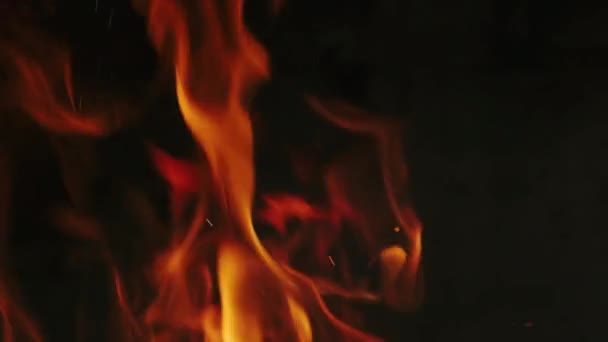 Brennendes Feuer Auf Dunklem Hintergrund Flammennahaufnahme Zeitlupe — Stockvideo