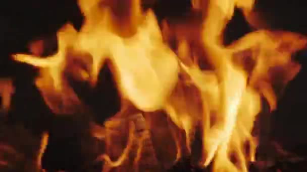 Hořící Oheň Uhlí Plamen Krbu — Stock video