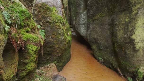 Teplice Rocks Parte Del Parco Montano Adrspach Teplice Negli Altopiani — Video Stock