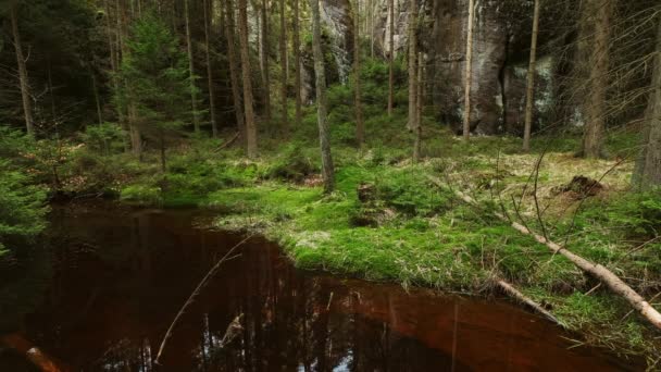 Wiosenny Krajobraz Jeziora Parku Narodowym Adrspach Teplice Skały Czechy — Wideo stockowe