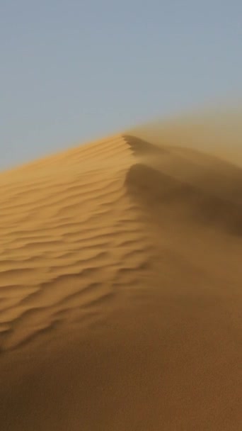 Sand Weht Wind Über Sanddünen Sahara Wüste Vertikales Video — Stockvideo