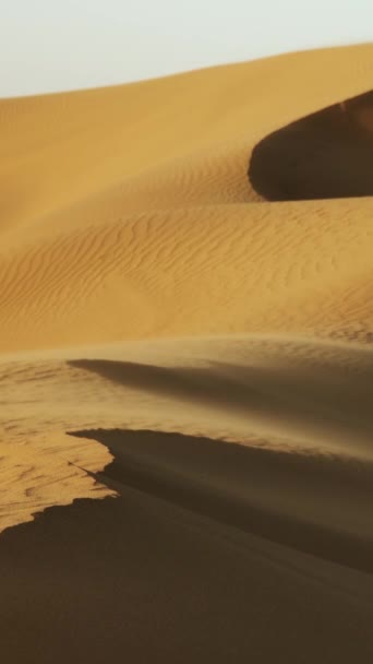 砂の砂の砂丘の上に風で吹いて サハラ砂漠 垂直ビデオ — ストック動画