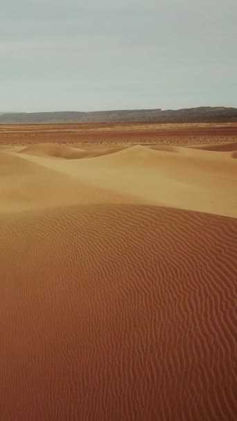 Sahra Çölü Afrika Daki Kum Tepelerinin Hava Manzarası Dikey Video — Stok video