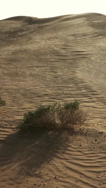 Sand Som Blåser Över Sanddyner Vinden Saharaöknen Vertikal Video — Stockvideo