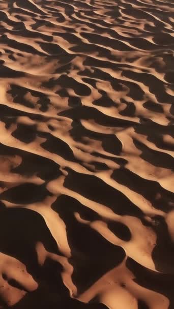 Aerial Top View Sand Dunes Sahara Desert Africa Vertical Video — Stock Video