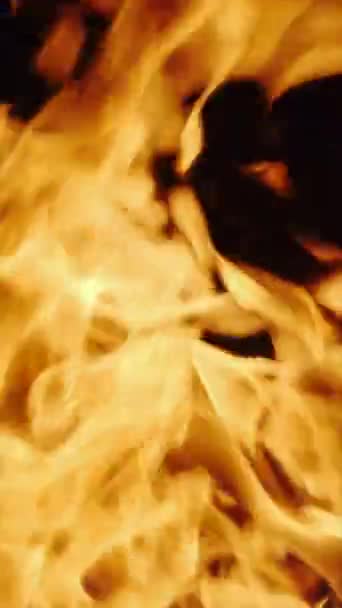 Brennendes Feuer Auf Dunklem Hintergrund Flammennahaufnahme Zeitlupe Vertikales Video — Stockvideo
