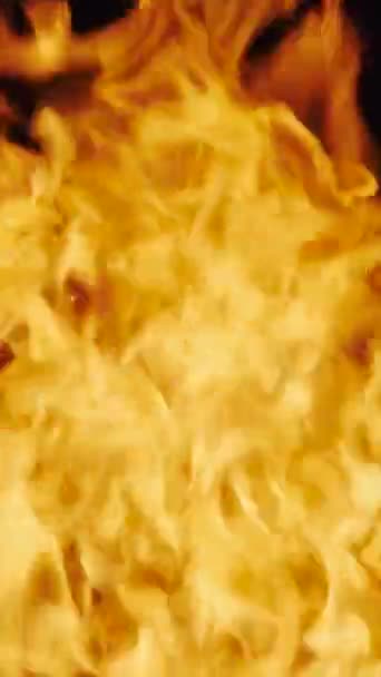 Hořící Oheň Tmavém Pozadí Plamen Detailní Záběr Zpomalený Pohyb Vertikální — Stock video