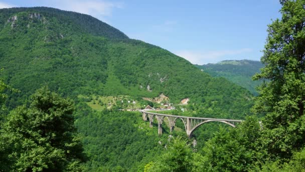 Τοξωτή Γέφυρα Djurdjevica Πάνω Από Τον Ποταμό Tara Στο Βόρειο — Αρχείο Βίντεο