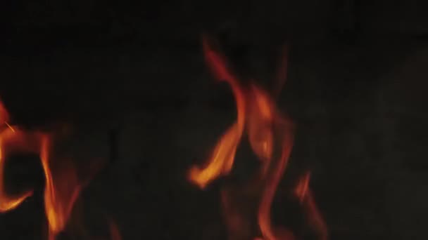 Fuego Ardiente Sobre Fondo Oscuro Primer Plano Llama — Vídeos de Stock