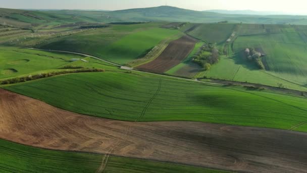 春には農業分野で素晴らしい緑の波状の丘の空中ビュー 南モラビア地域 チェコ共和国 ヨーロッパ — ストック動画