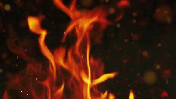 Brennendes Feuer Und Orangefarbene Partikel Auf Dunklem Hintergrund Flammennahaufnahme Zeitlupe — Stockvideo