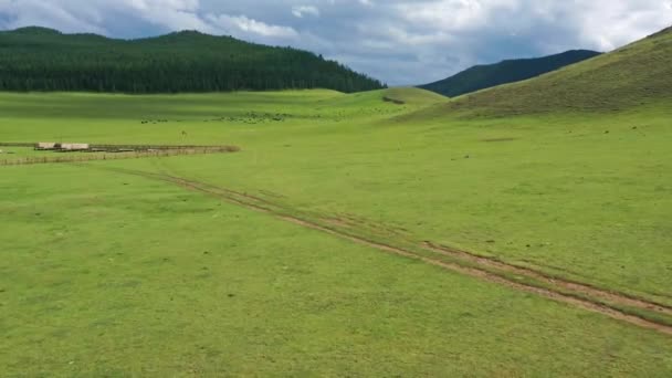 蒙古山地牧场放牧群的空中景观 — 图库视频影像