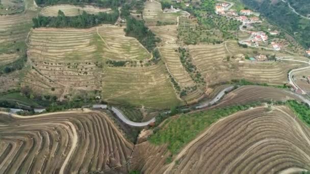 Luftaufnahme Der Terrassenförmigen Weinberge Douro Flusstal Portugal — Stockvideo