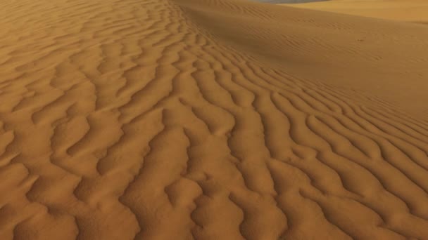 Sand Som Blåser Över Sanddynerna Vind Saharaöknen — Stockvideo