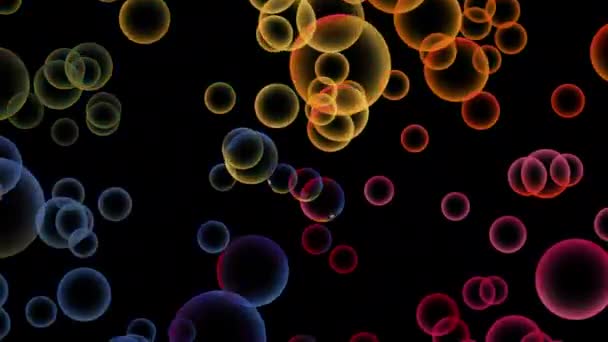 Абстрактные Движущиеся Разноцветные Летающие Сферы Черном Цветные Радужные Шарики Разных — стоковое видео